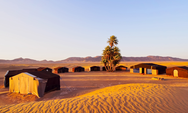 Tents stand on sandy desert terrain, surrounding a cluster of palm trees under a clear sky. Sand dunes and distant mountains complete the arid landscape, basking in warm sunlight.