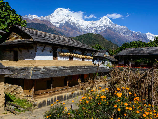 Traditional stone house features dried corn hanging under the roof, surrounded by orange marigold flowers and greenery. Snow-capped mountains rise majestically in the clear blue sky background.