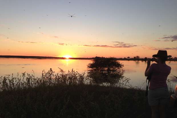 A person takes a photo with a camera, standing by a calm lake during sunset. Insects fly around, and trees dot the horizon under a colorful sky.