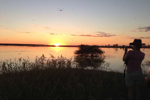 A person uses binoculars to observe a sunset over a calm lake, surrounded by tall grass and scattered trees under a partly cloudy sky.