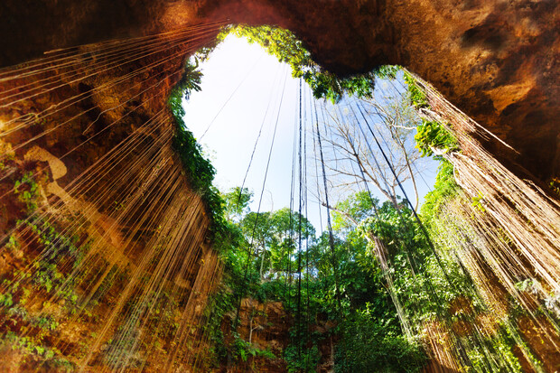 Circular pit with cascading vines hangs above a lush, green forest. Sunlight filters through, illuminating the rocky walls and vegetation, creating a serene, natural atmosphere.