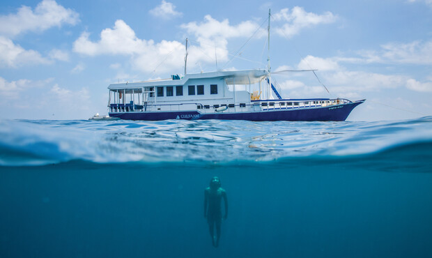 A boat floats on the ocean surface, partially submerged. Below, a diver swims in clear blue water under a bright blue sky with scattered clouds. The boat is named "Ari Queen."