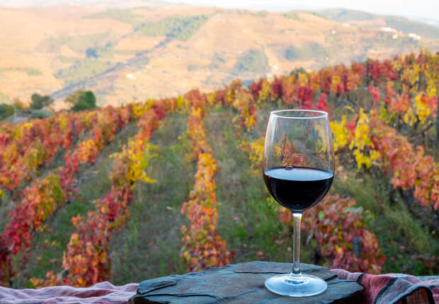 A glass of red wine rests on a stone, surrounded by colorful, autumnal vineyard rows stretching into a hilly landscape under a clear sky.