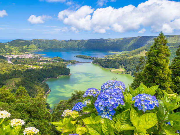 Blue hydrangeas bloom vibrantly in the foreground, overlooking a serene lake surrounded by lush green hills and forests under a partly cloudy sky, creating a peaceful, picturesque landscape.