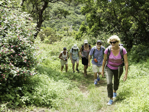 Five people hike up a leafy, narrow trail surrounded by lush greenery and flowering bushes on a sunny day, wearing casual outdoor clothing and backpacks, enjoying a nature walk.