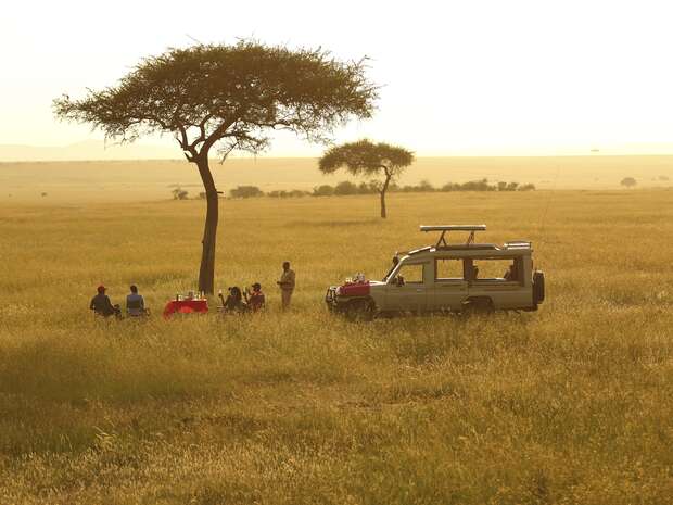A group of people sit near a table under a tree in a grassy savanna, beside an off-road vehicle, enjoying a picnic. The sun casts a warm, golden light.