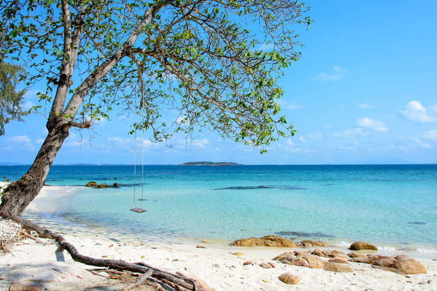 Sandy Thai beach with a swing hanging from a tree