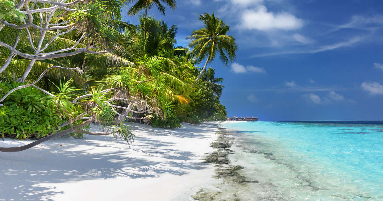 The Maldives